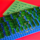 Illustration for article titled How to Make Lego Bricks You Can Actually Eat